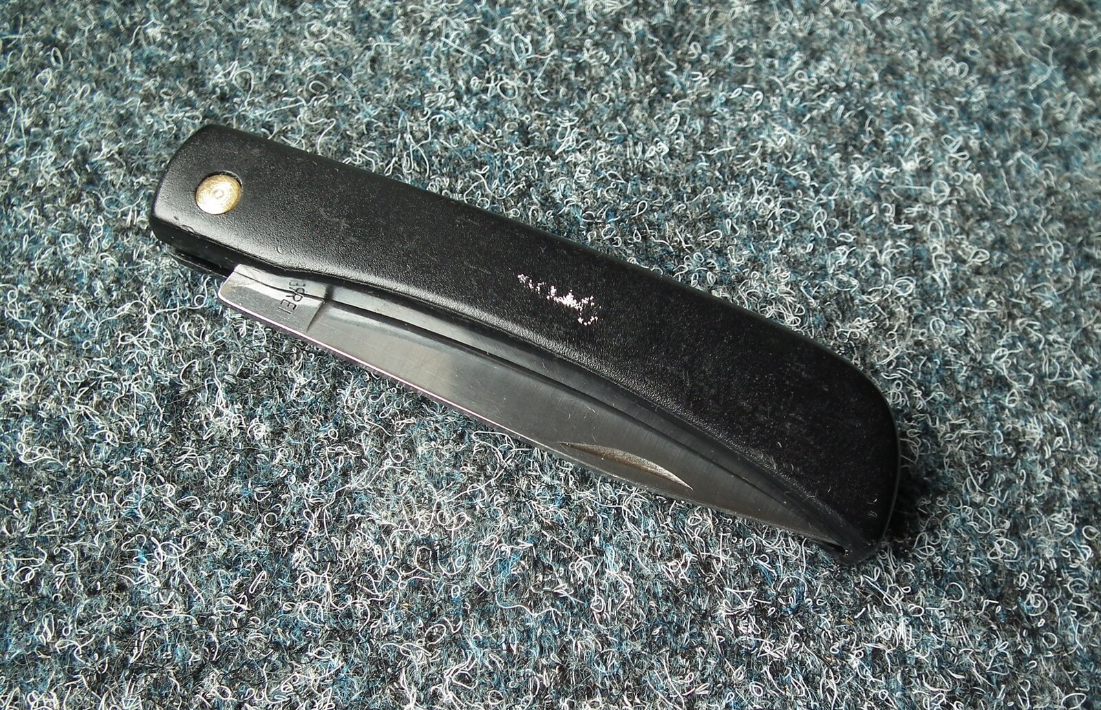 DSCF0012.JPG