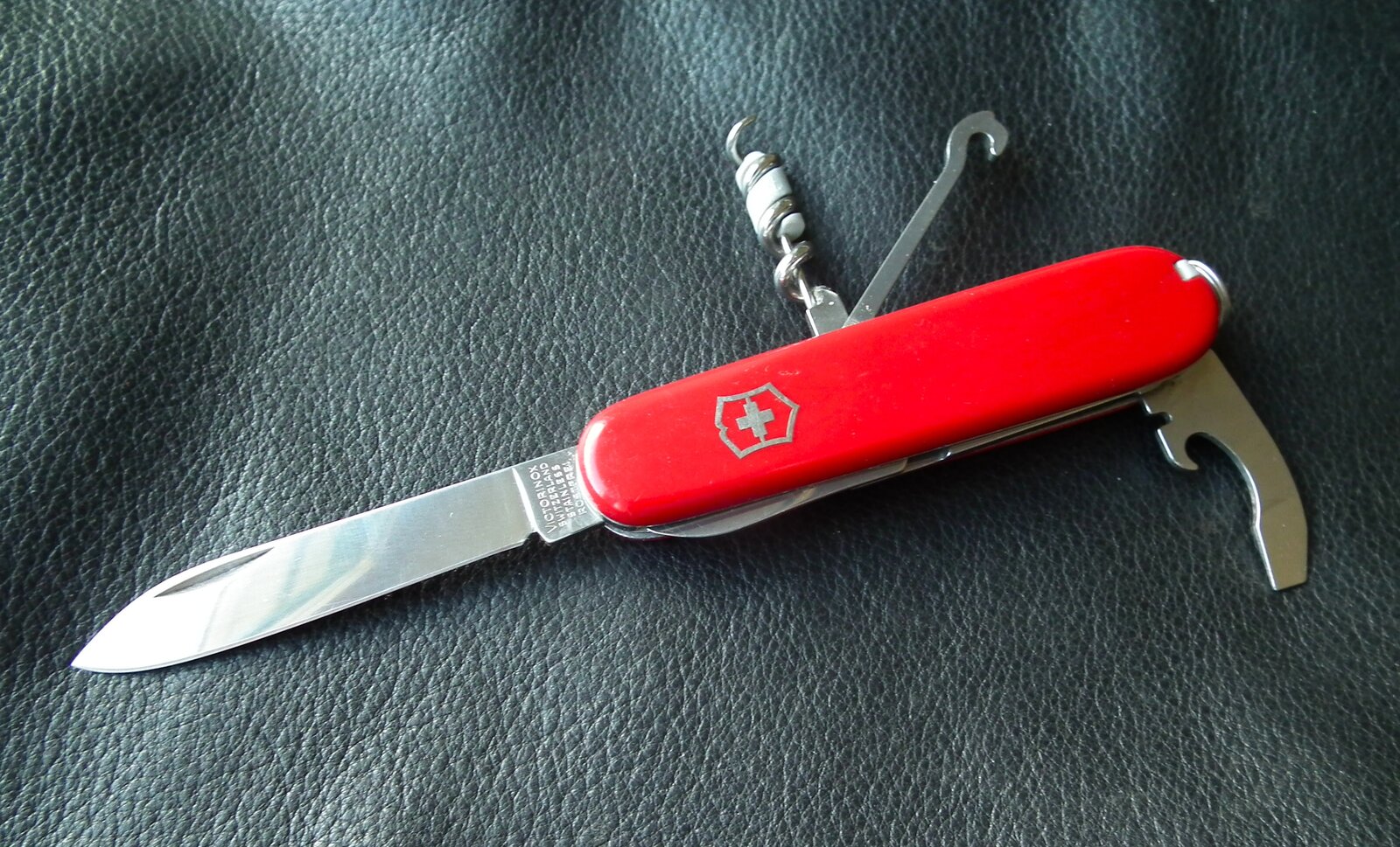 DSCF0204.JPG