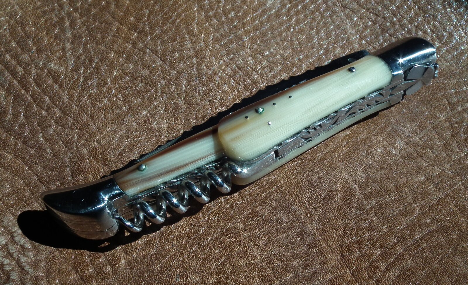 DSCF0249.JPG