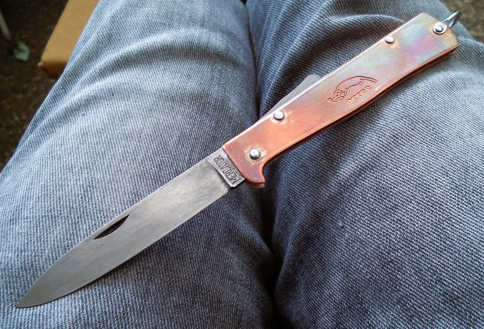 DSCF0355.JPG