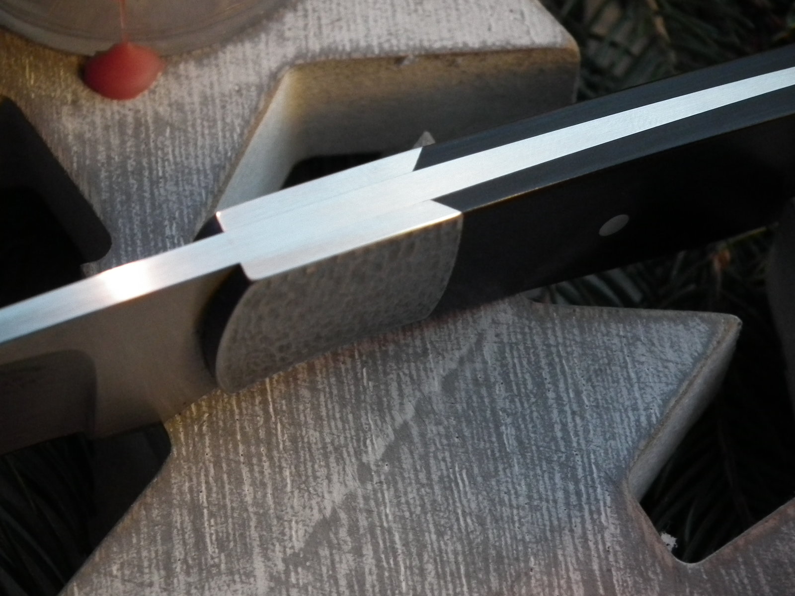 DSCF5702.JPG