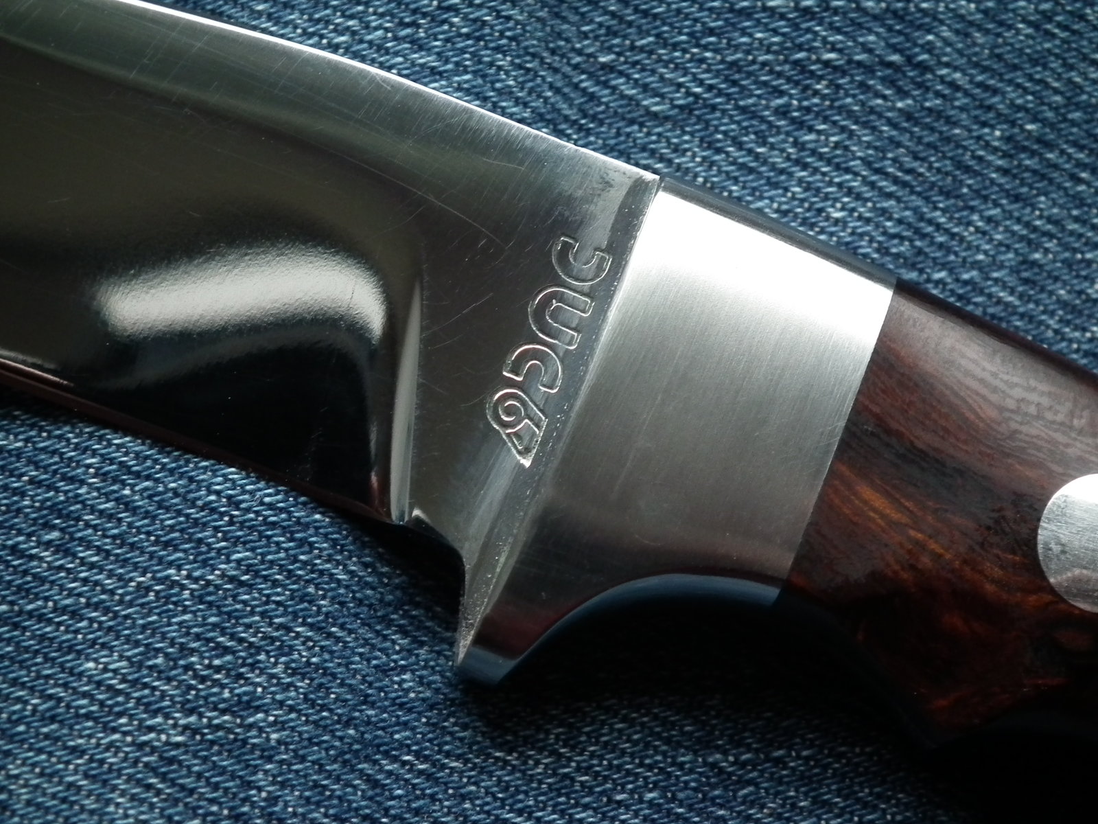 DSCF5965.JPG