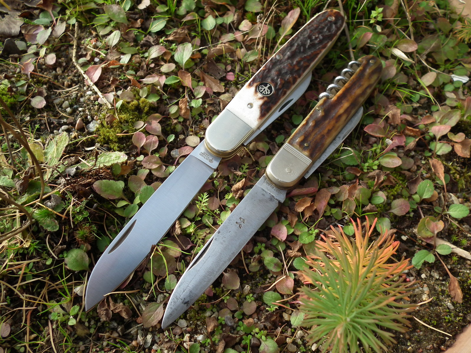 DSCF6614.JPG