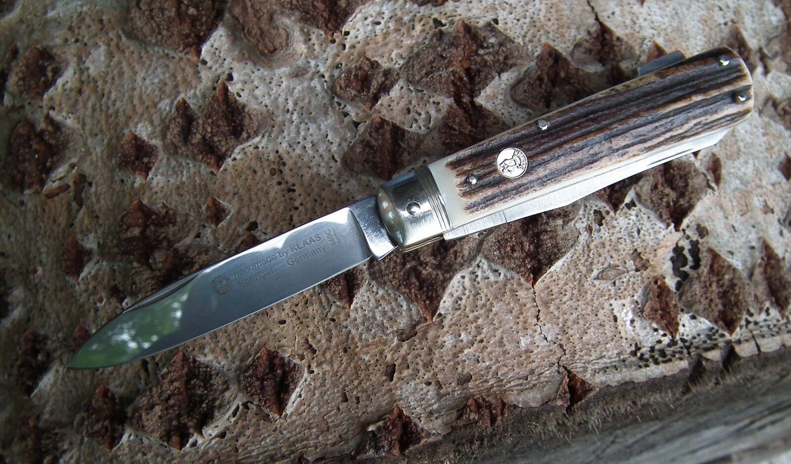 DSCF8149.JPG