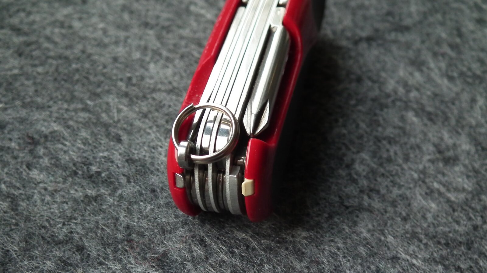 DSCF8351.JPG