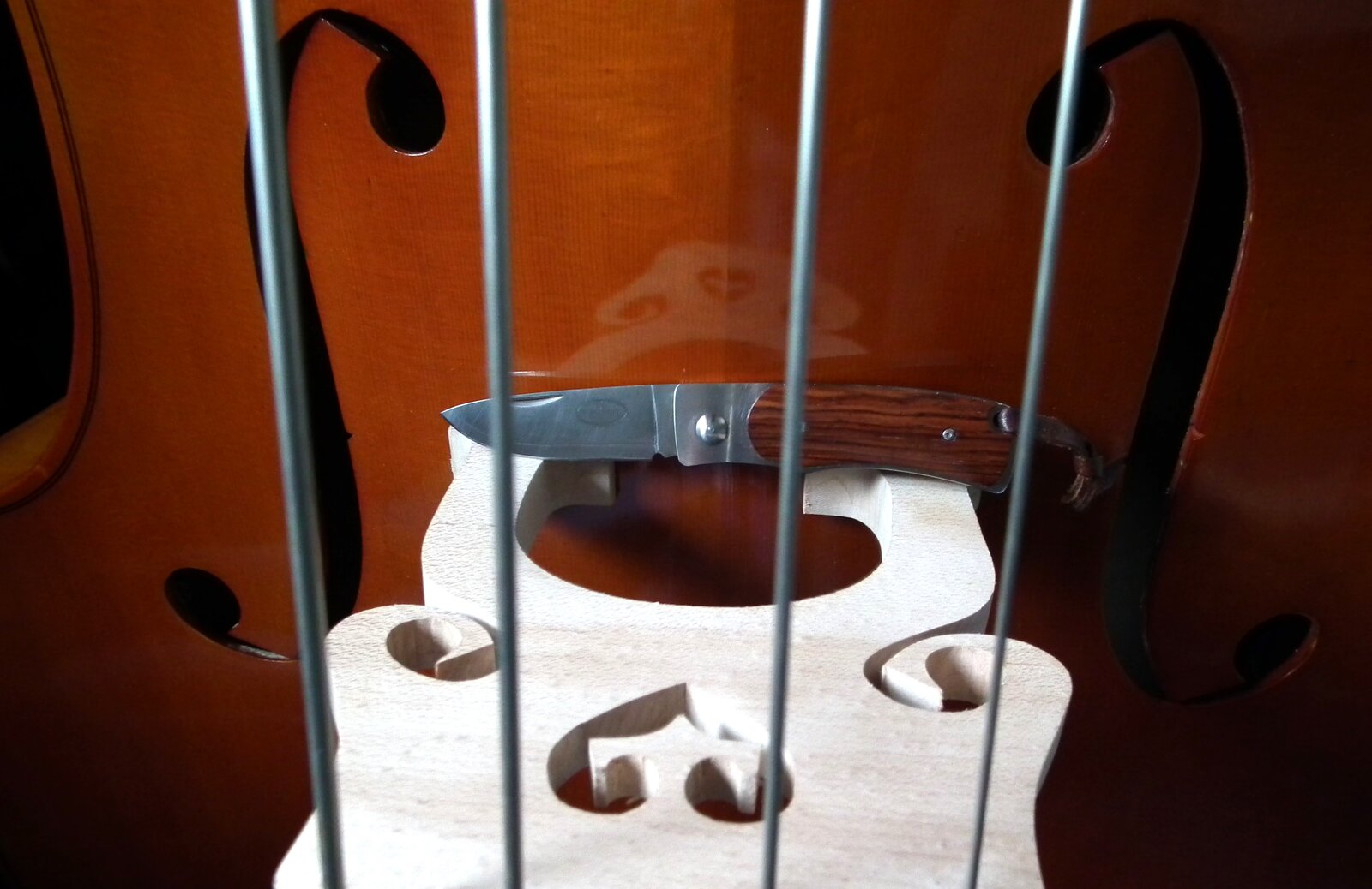 DSCF8554.JPG