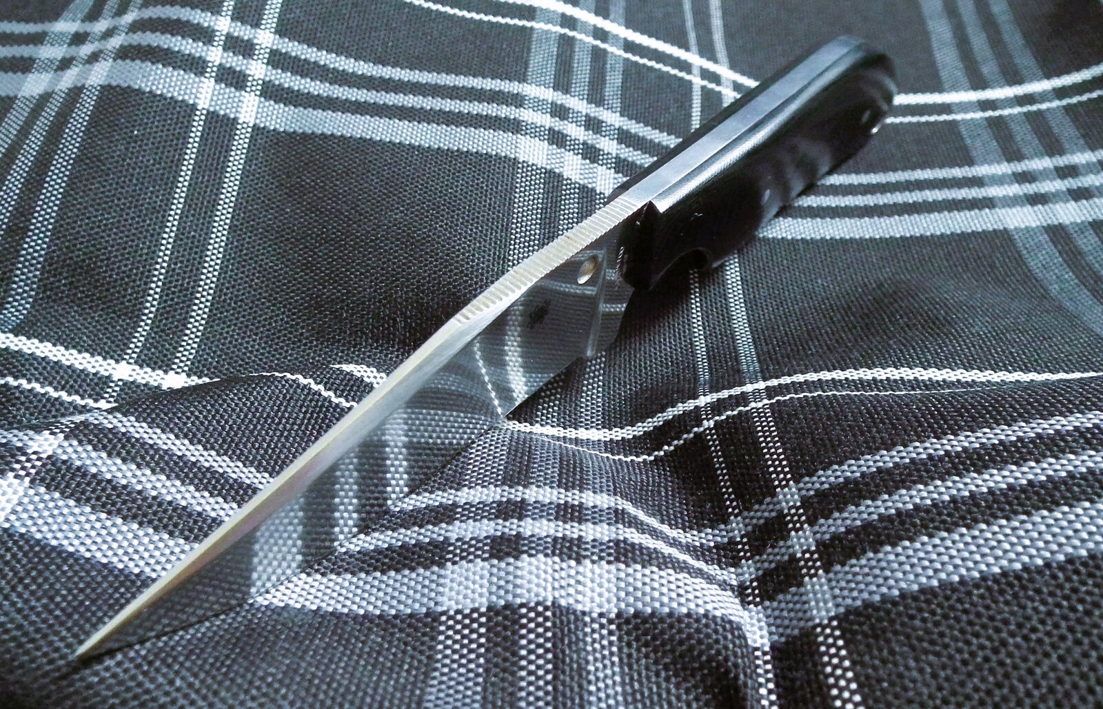 DSCF8564.JPG