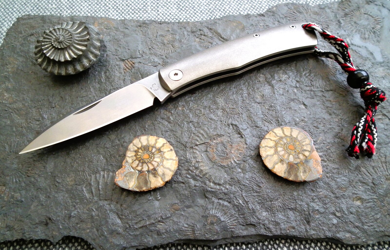 DSCF9256.JPG