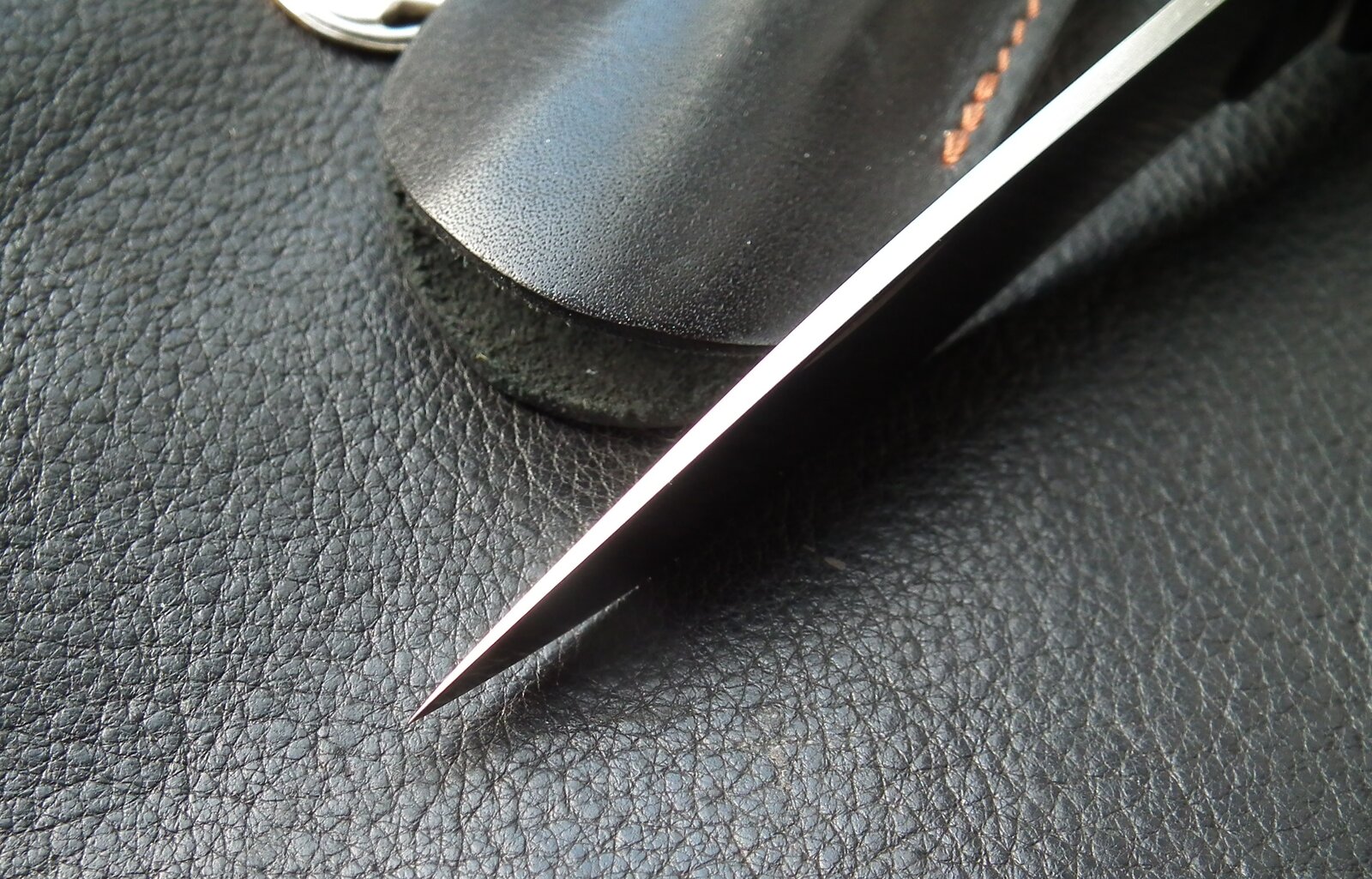 DSCF9532.JPG
