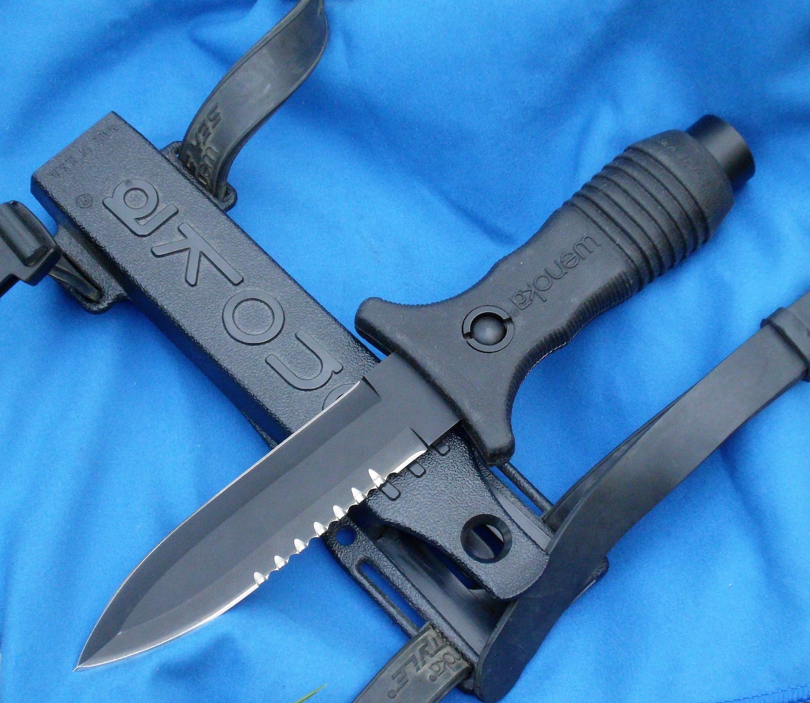 DSCI0022 (2).JPG