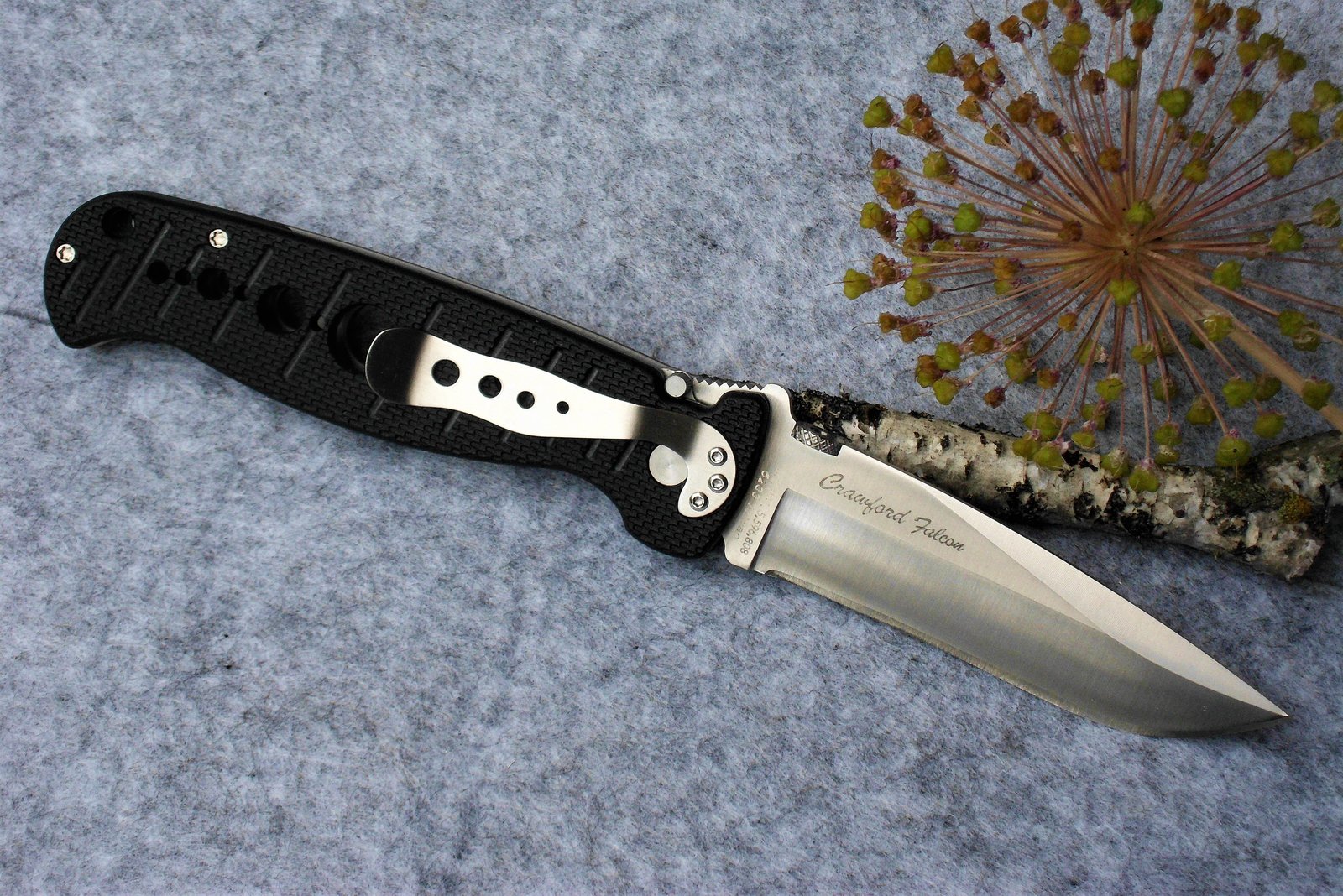 DSCI0047 (2).JPG