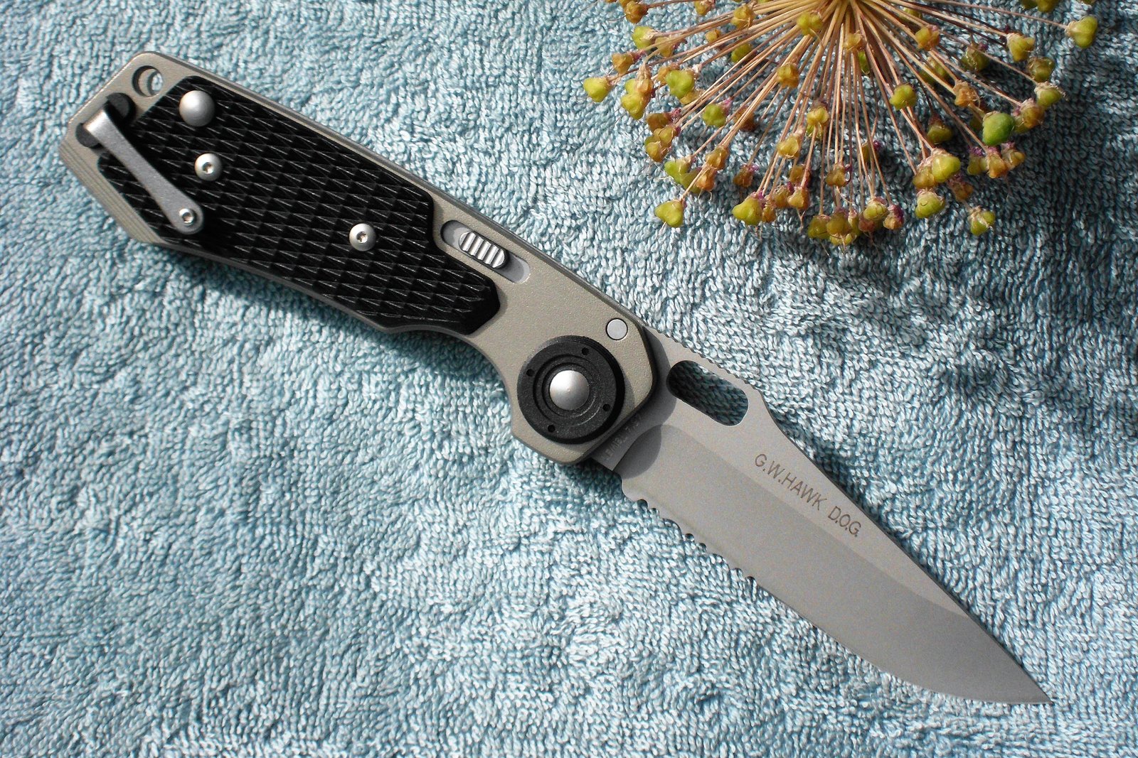 DSCI0113 (2).JPG