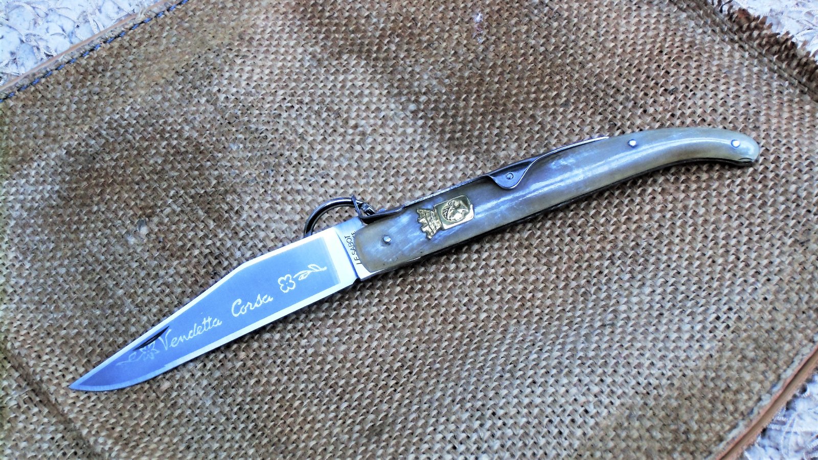DSCI5766 (2).JPG