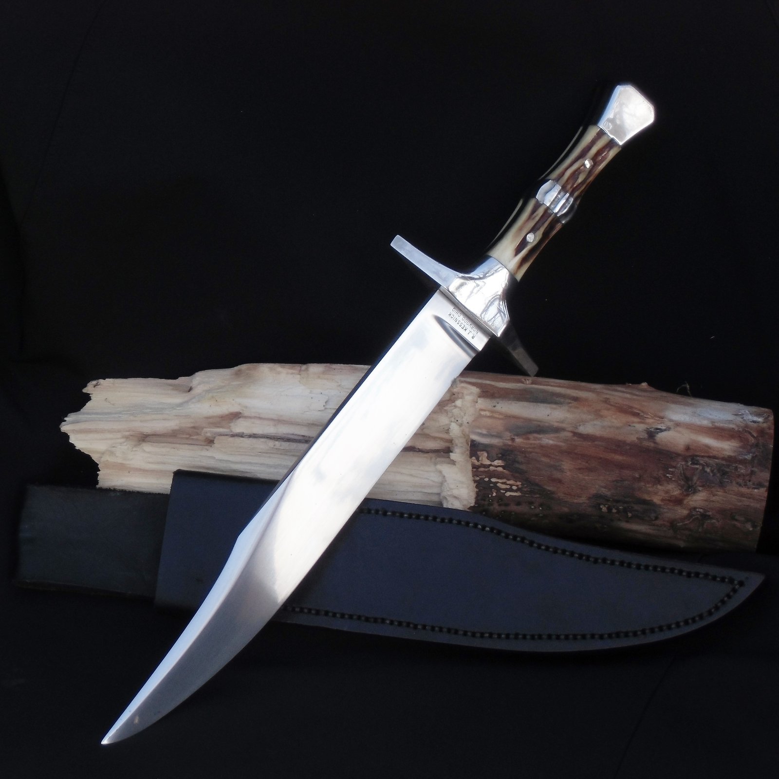 DSCI7927 (2).JPG
