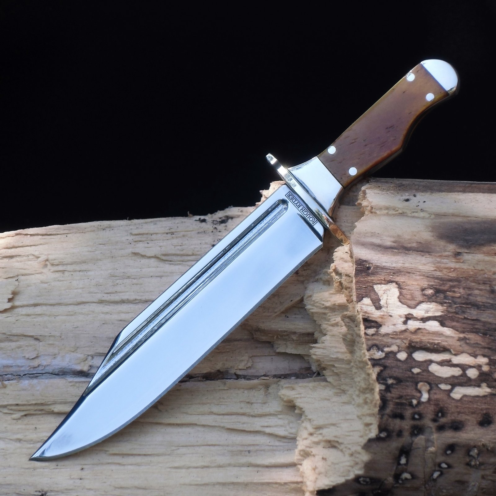 DSCI8925 (2).JPG