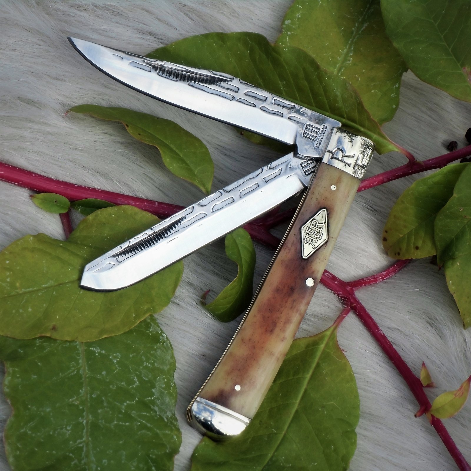 DSCI9761 (2).JPG