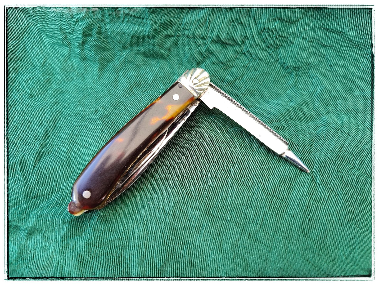 E24C1C0D-ECE3-4060-8C00-905AB9BC12BF.jpeg E24C1C0D-ECE3-4060-8C00-905AB9BC12BF.jpeg