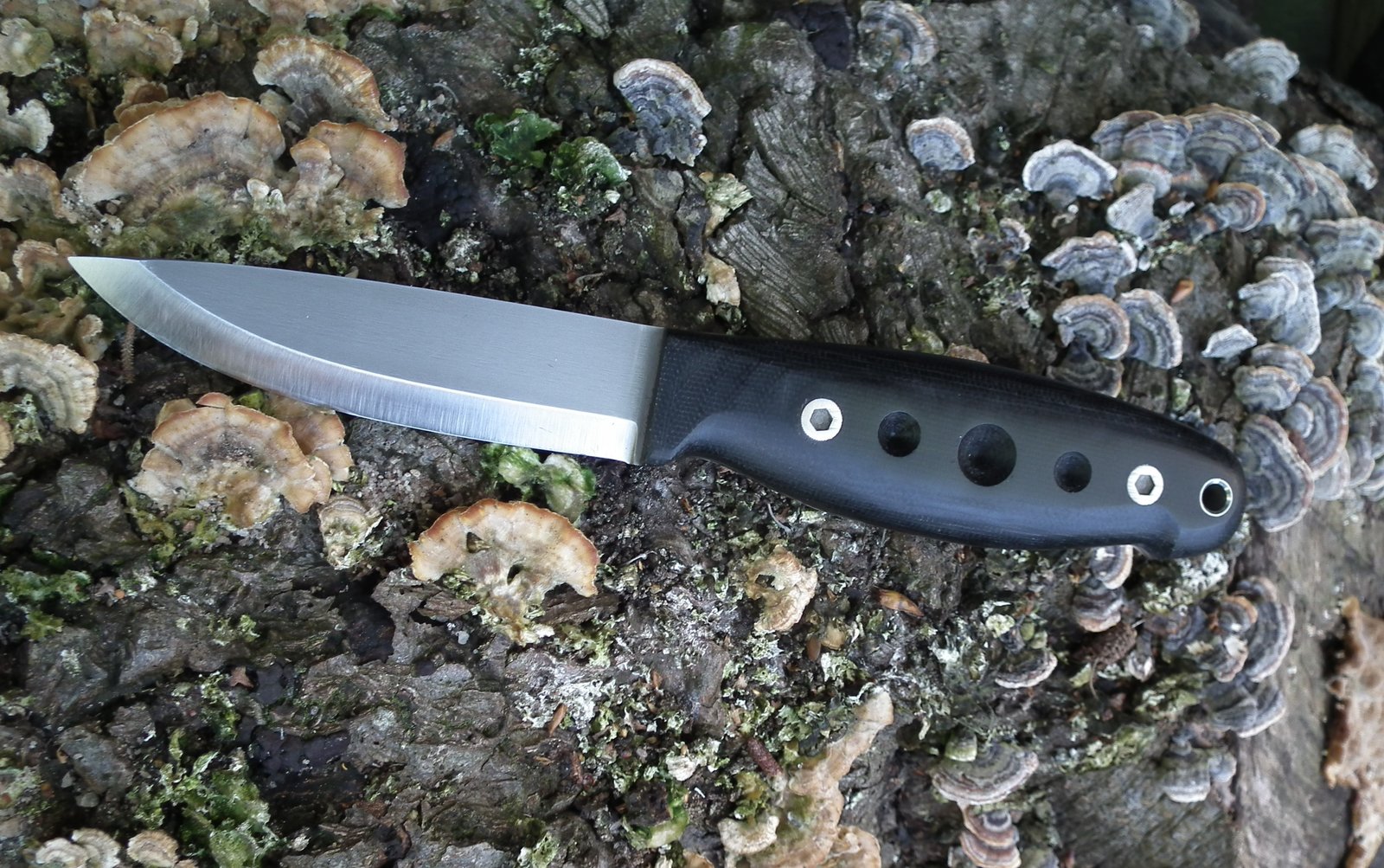 Entrek Forester (1).JPG