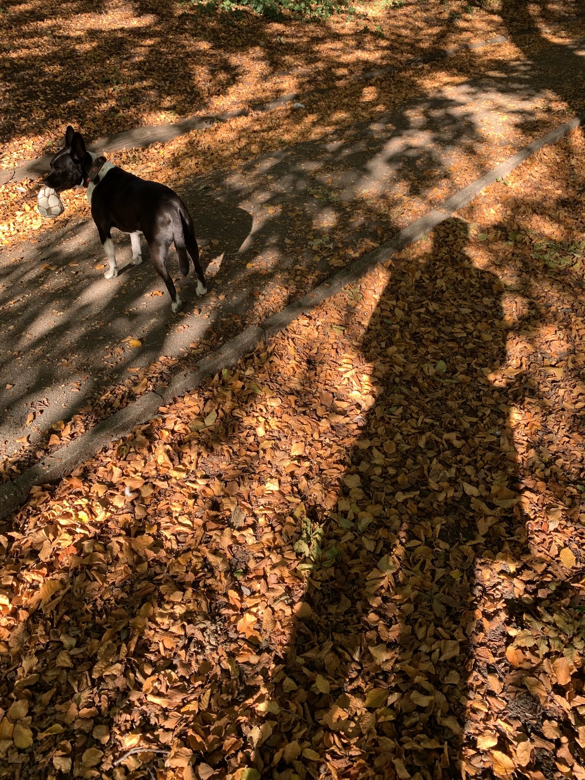 F6B6EC62-30C4-43D0-9437-E30D9D65A66B.jpeg