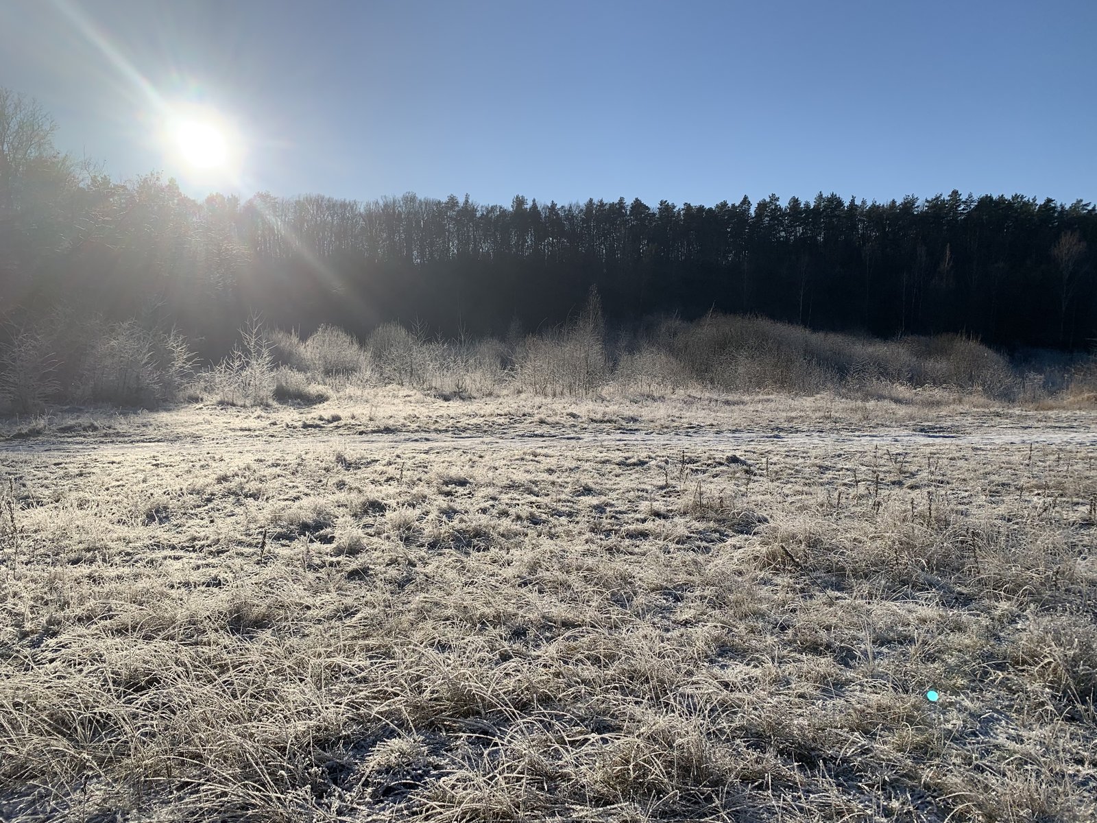 F7EDD849-0150-4667-B32C-240CD8B7B231.jpeg