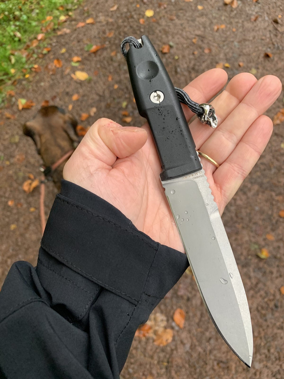 FEF2C85A-1E61-4935-836B-71183D6D2644.jpeg