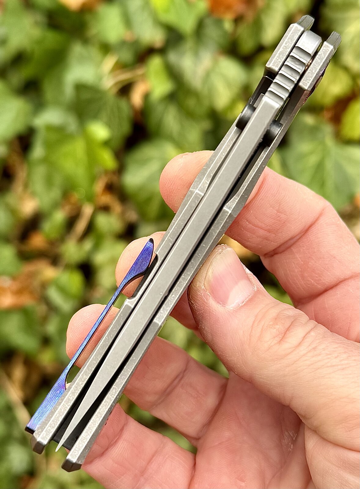 Foto 01.12.25, 09 29 12.jpeg