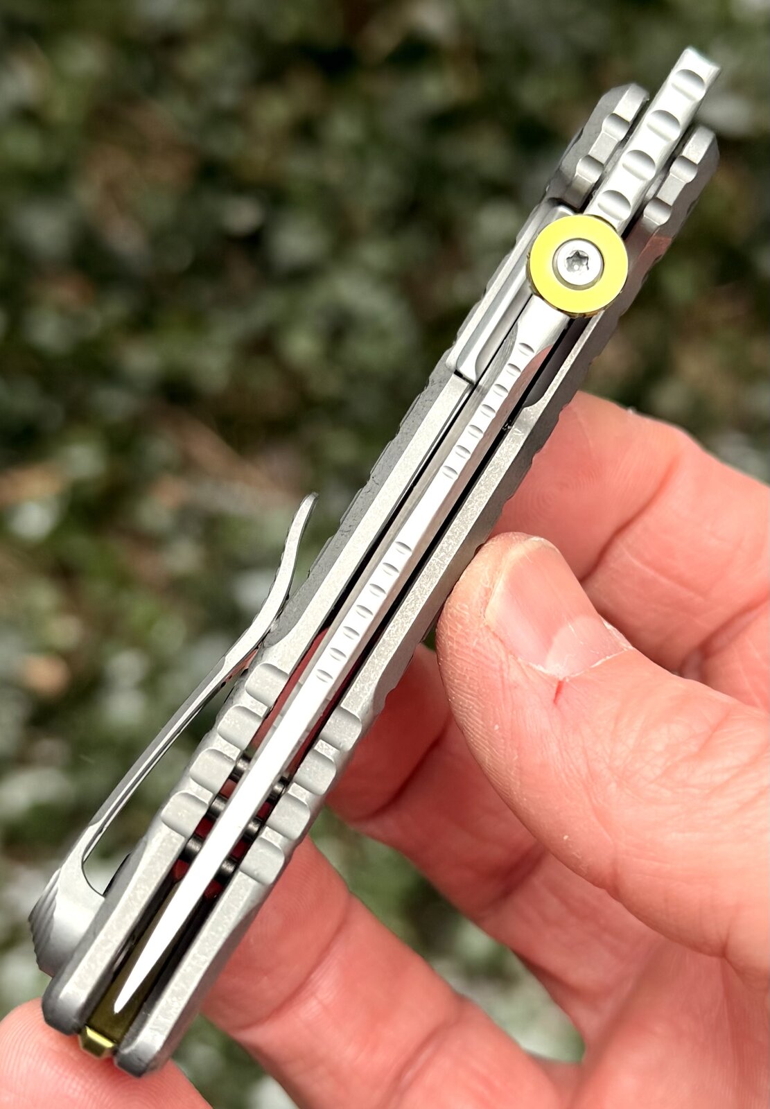 Foto 16.02.26, 11 57 54.jpeg