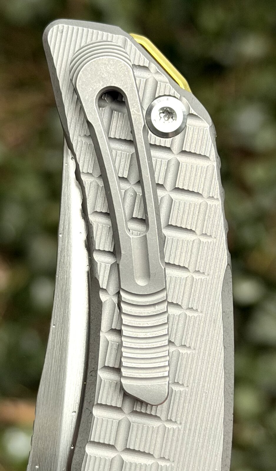 Foto 16.02.26, 11 58 33.jpeg