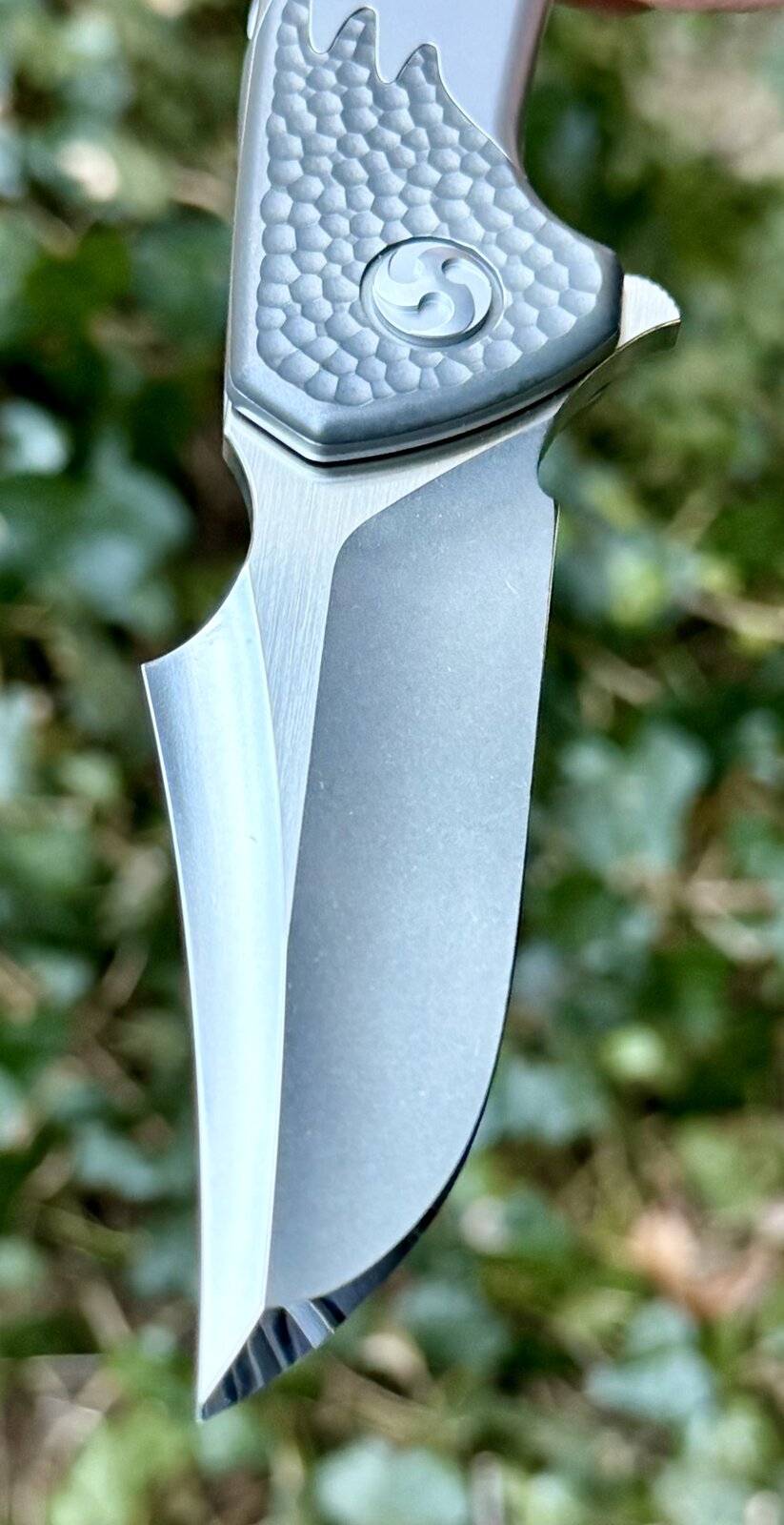 Foto 21.01.26, 12 13 59.jpeg