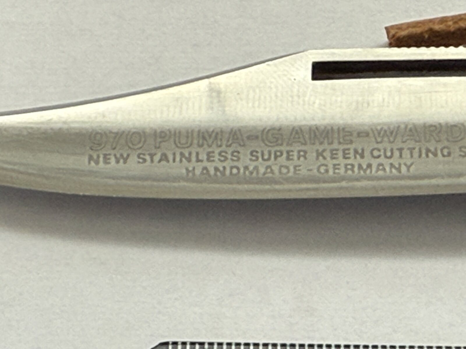 game warden klingenschrift.JPG