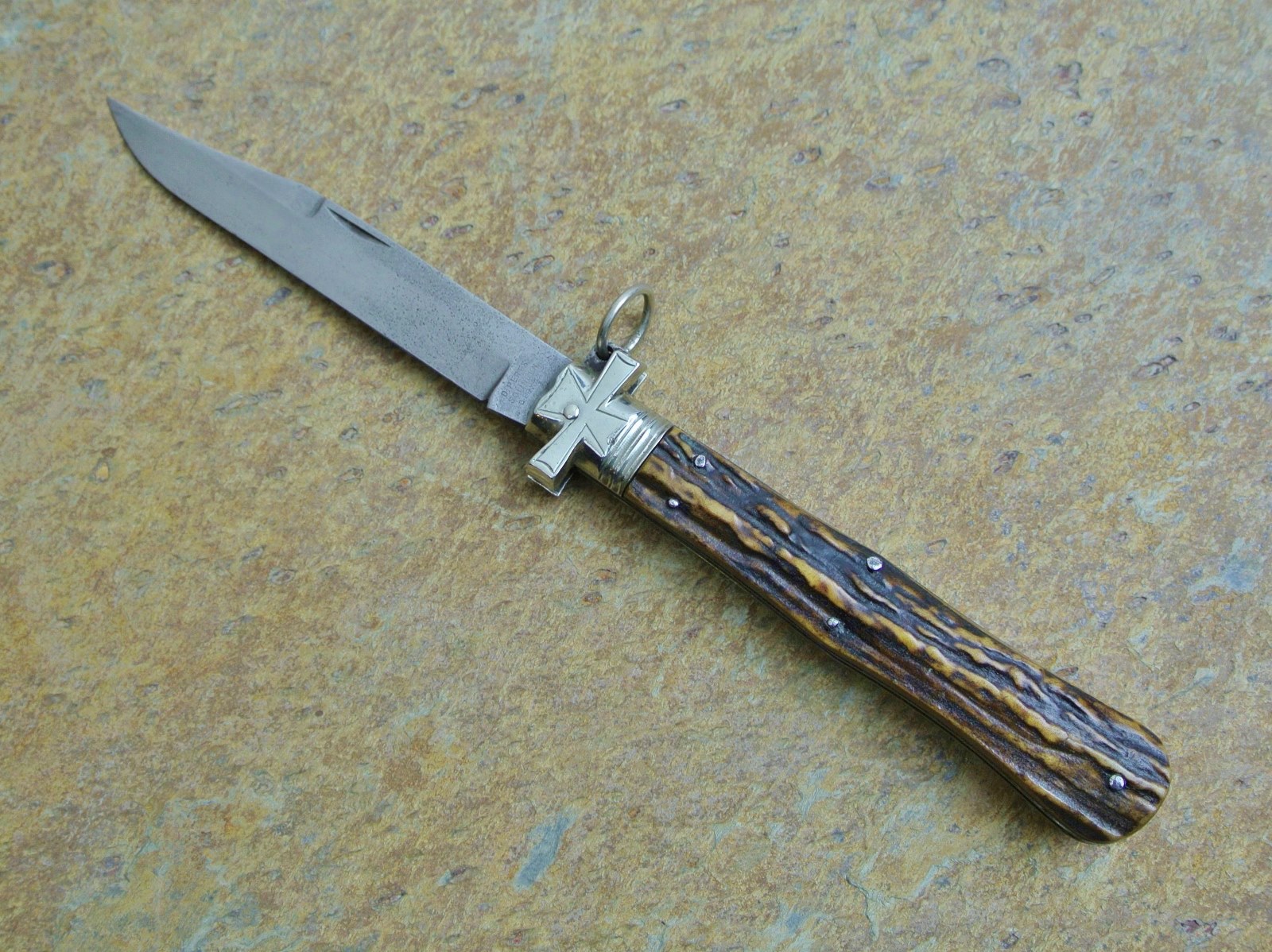 German Peres Maltese (2) (1600x1198).jpg