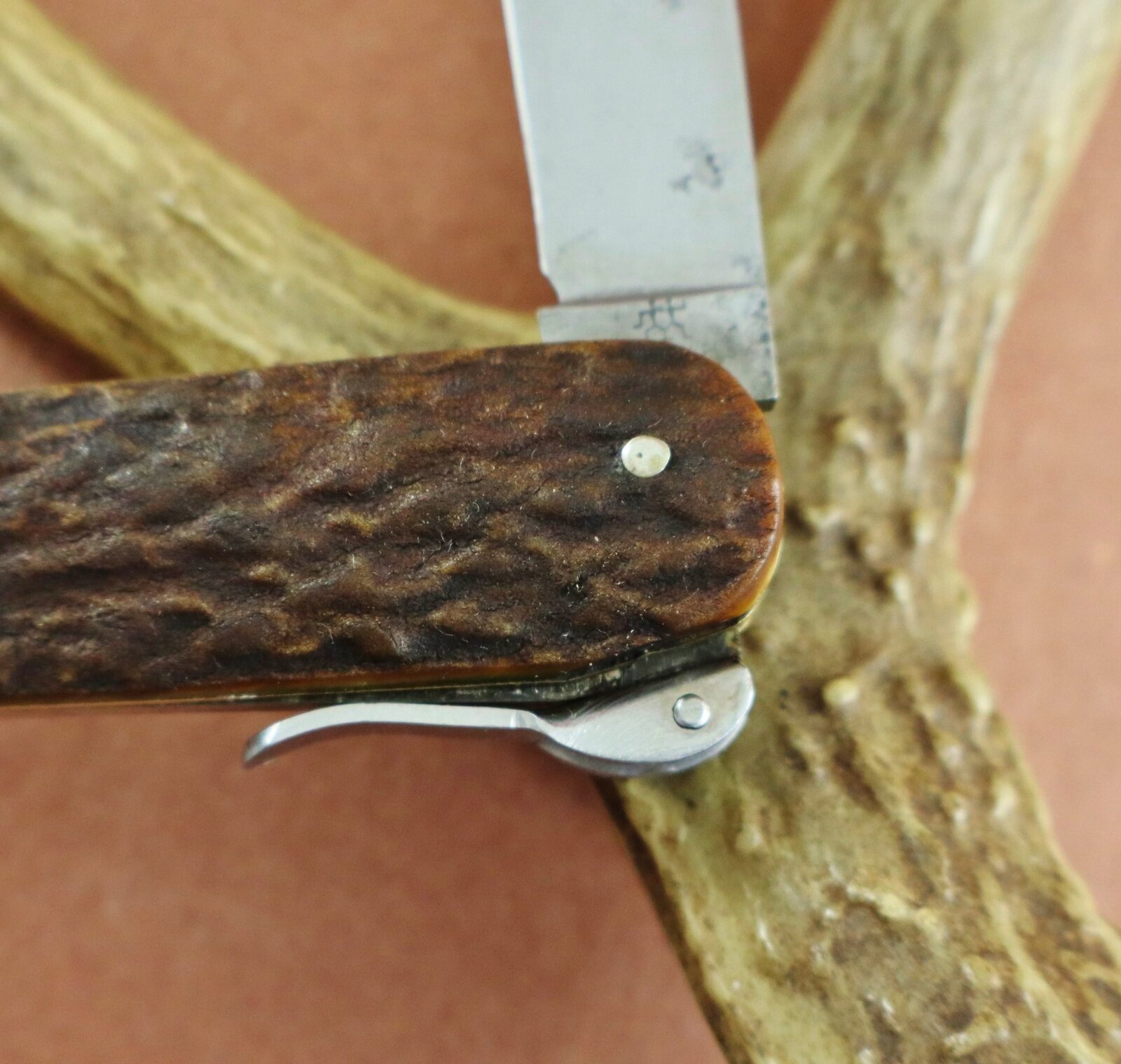 Henckels Hunting Knife Cutter 4 (2500x2372).jpg
