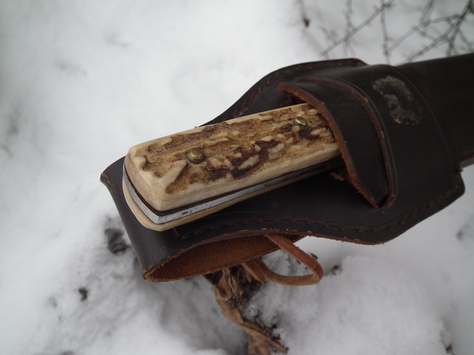 Herbertz Bowie (2).JPG