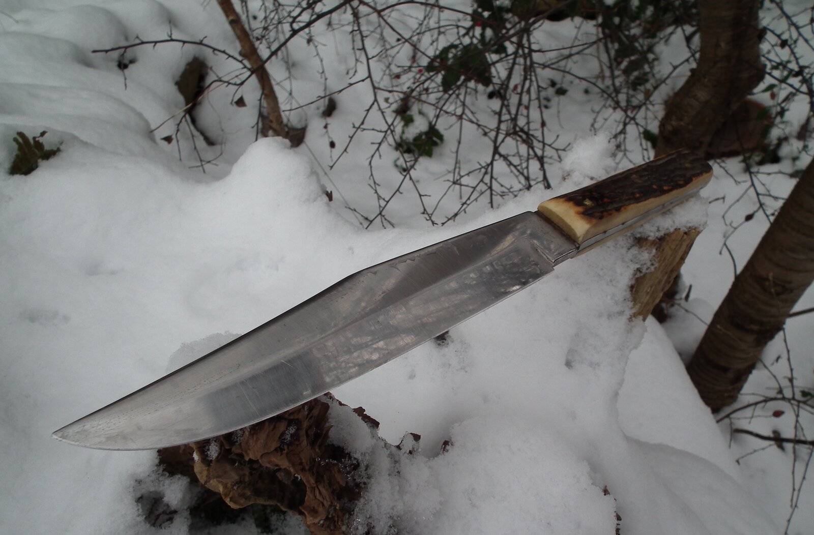 Herbertz Bowie (3).JPG