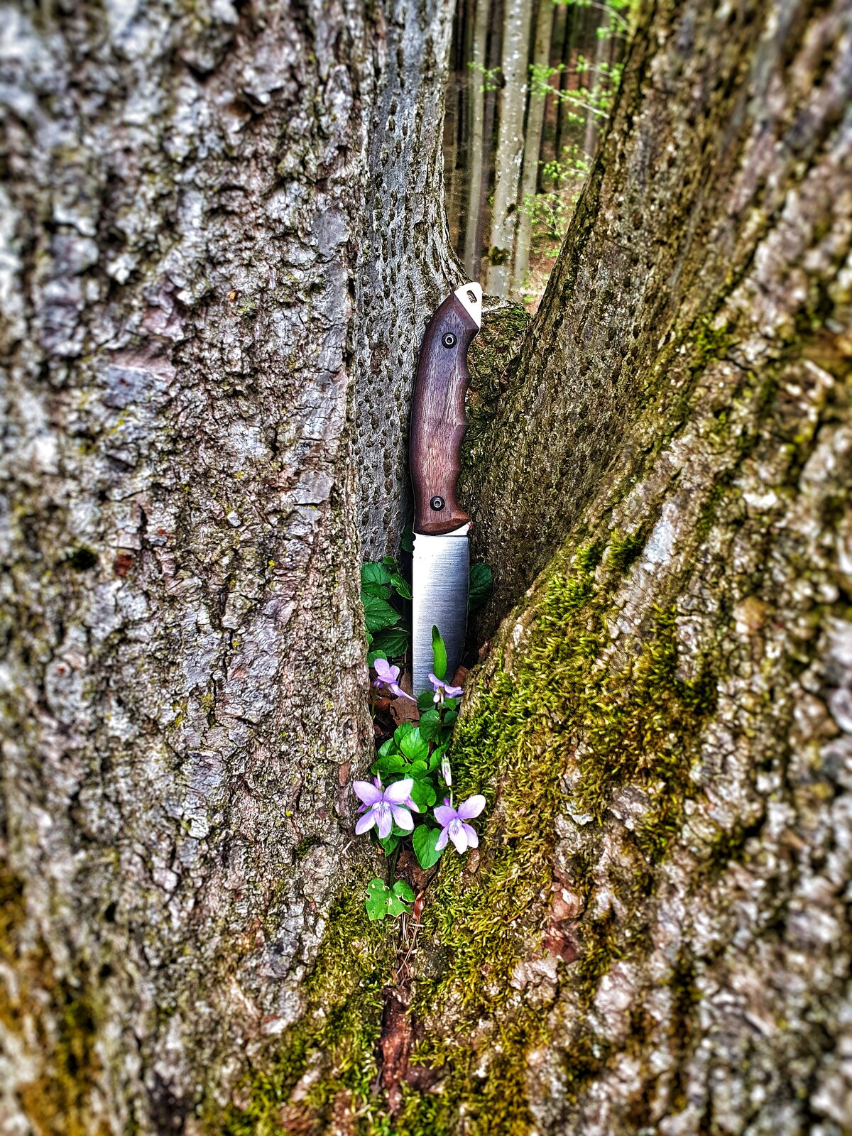 Holz , Stahl und Blümsche.jpeg