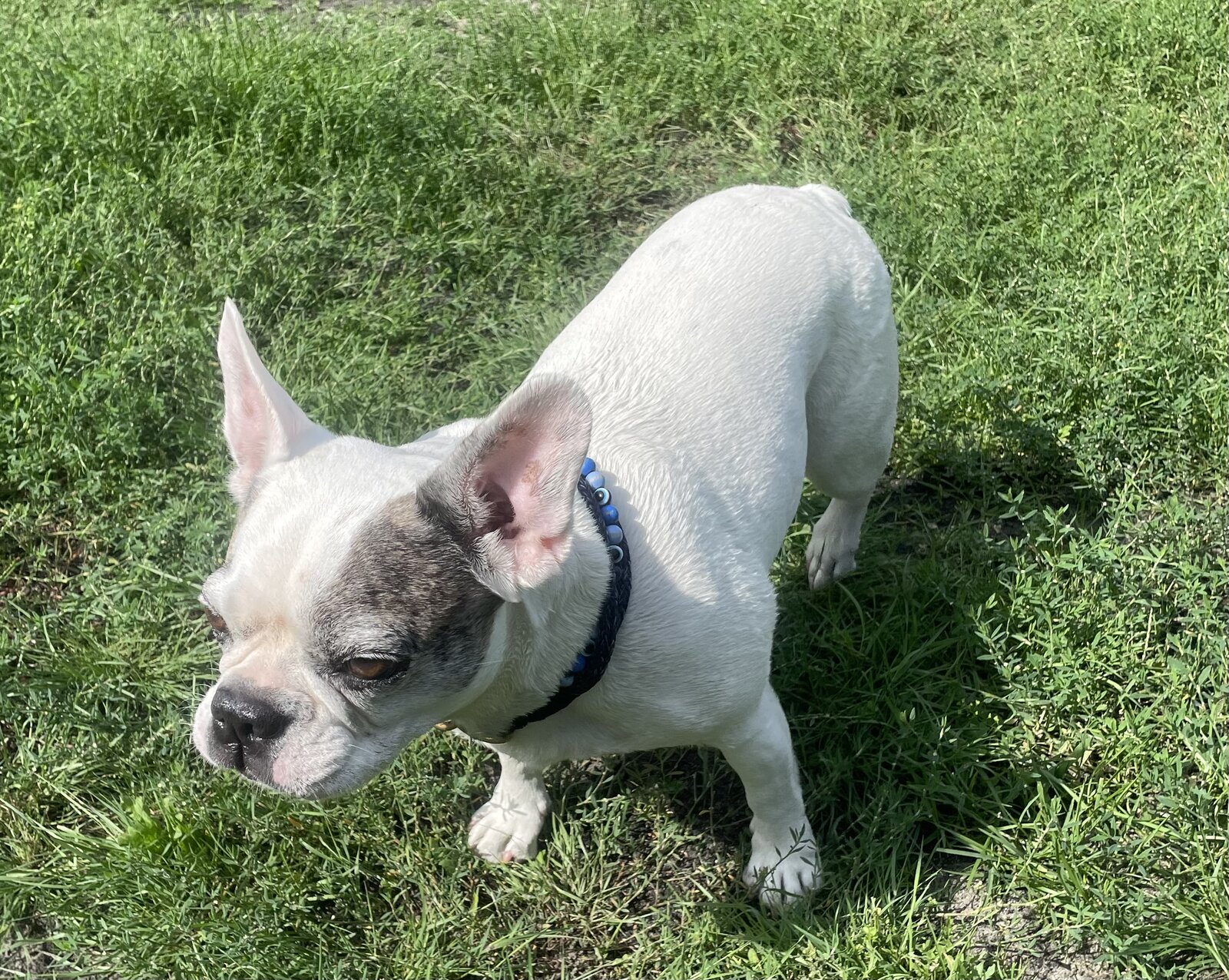 IMG_0019.jpeg