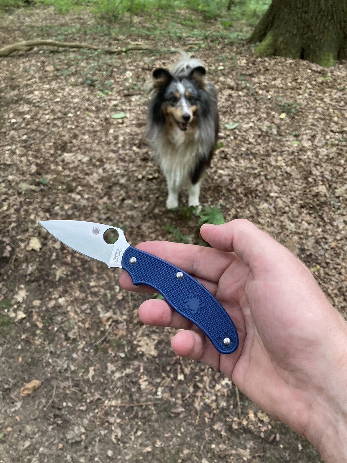 IMG_0041.jpeg