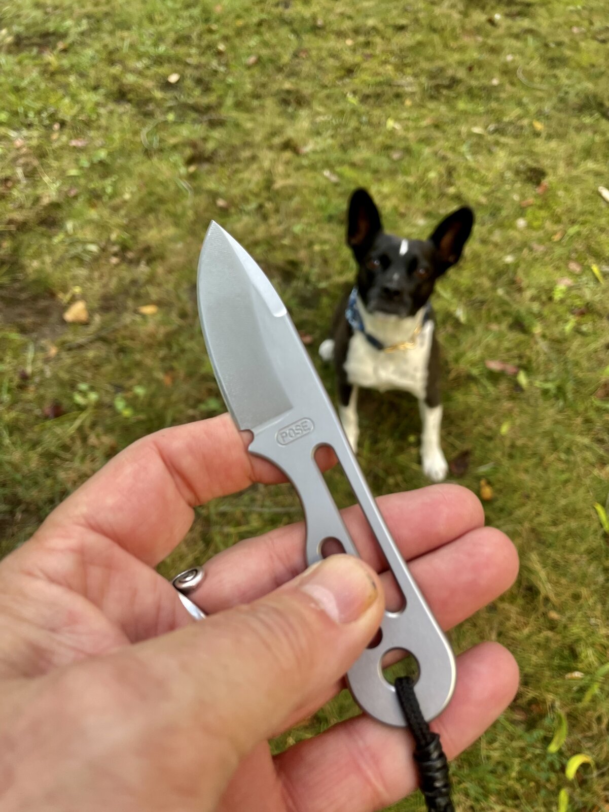 IMG_0484.jpeg