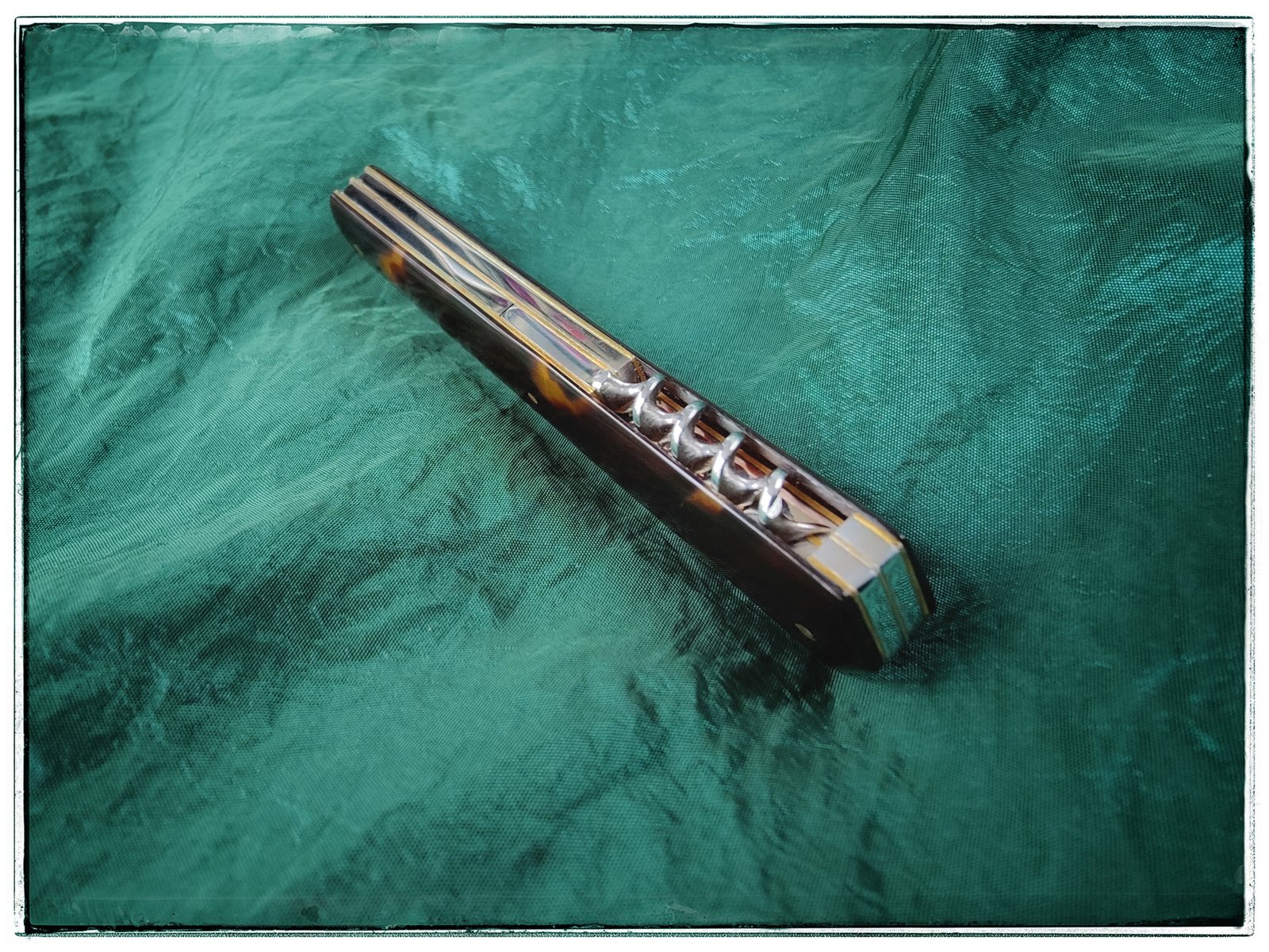 IMG_0639.jpeg IMG_0639.jpeg