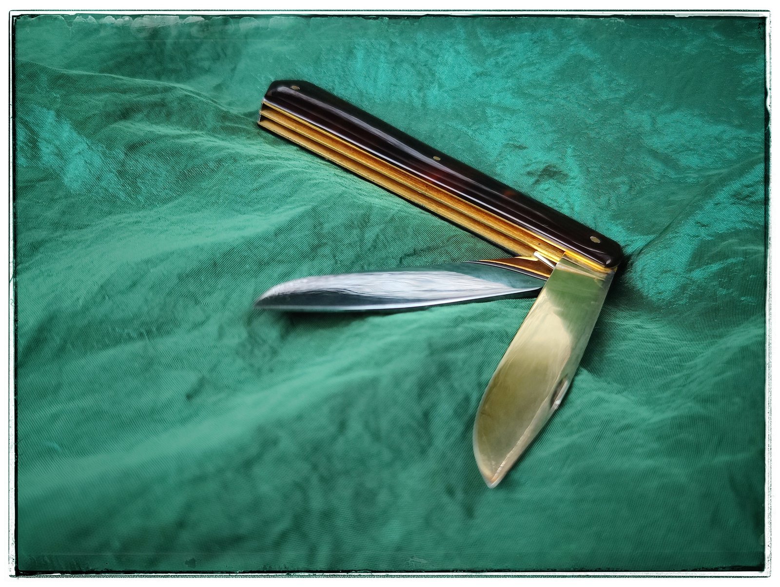 IMG_0640.jpeg IMG_0640.jpeg