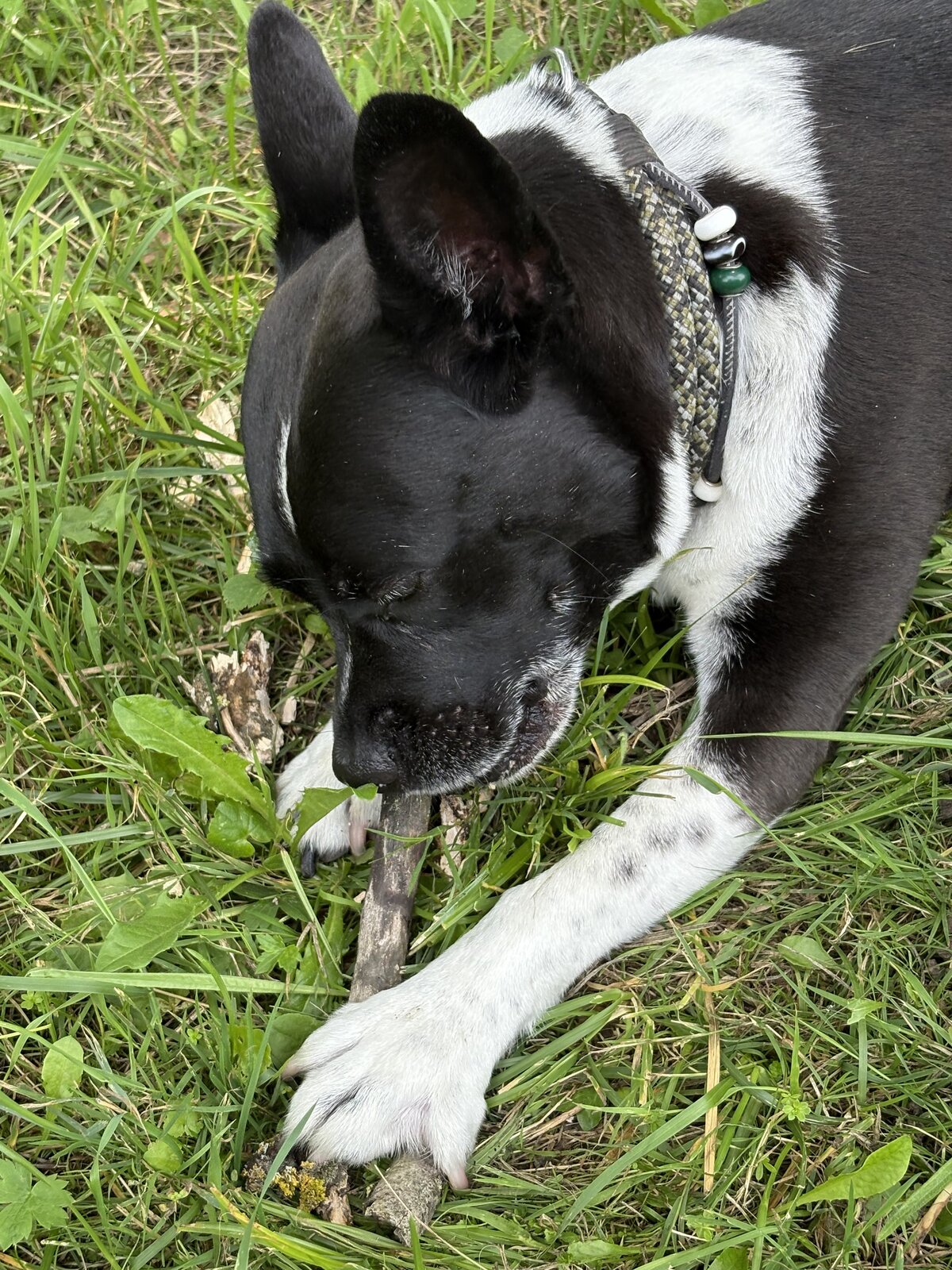 IMG_0662.jpeg