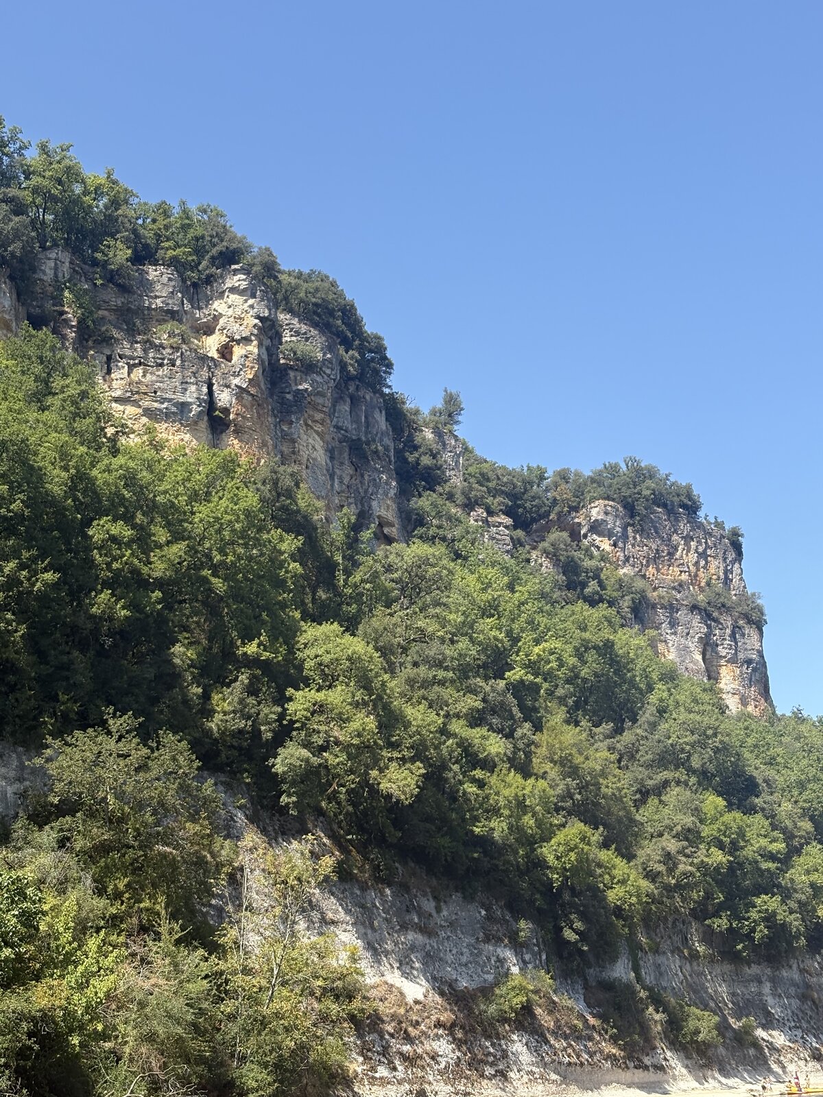 IMG_0954.jpeg