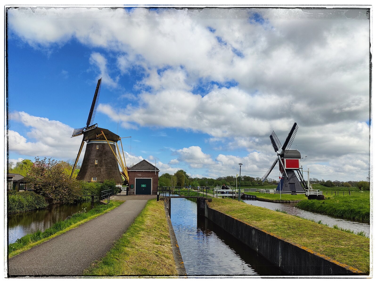 IMG_1171.jpeg