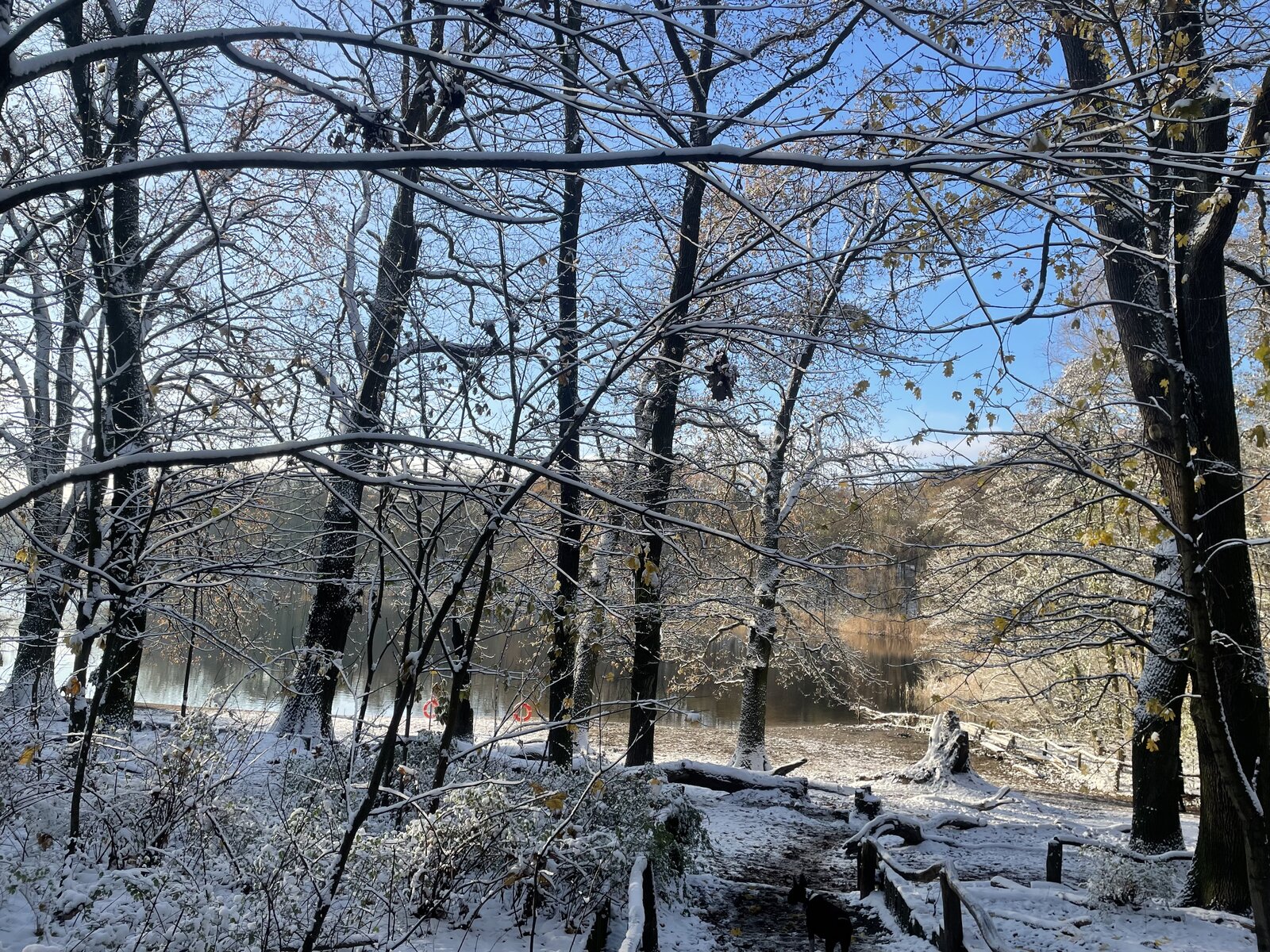 IMG_1367.jpeg