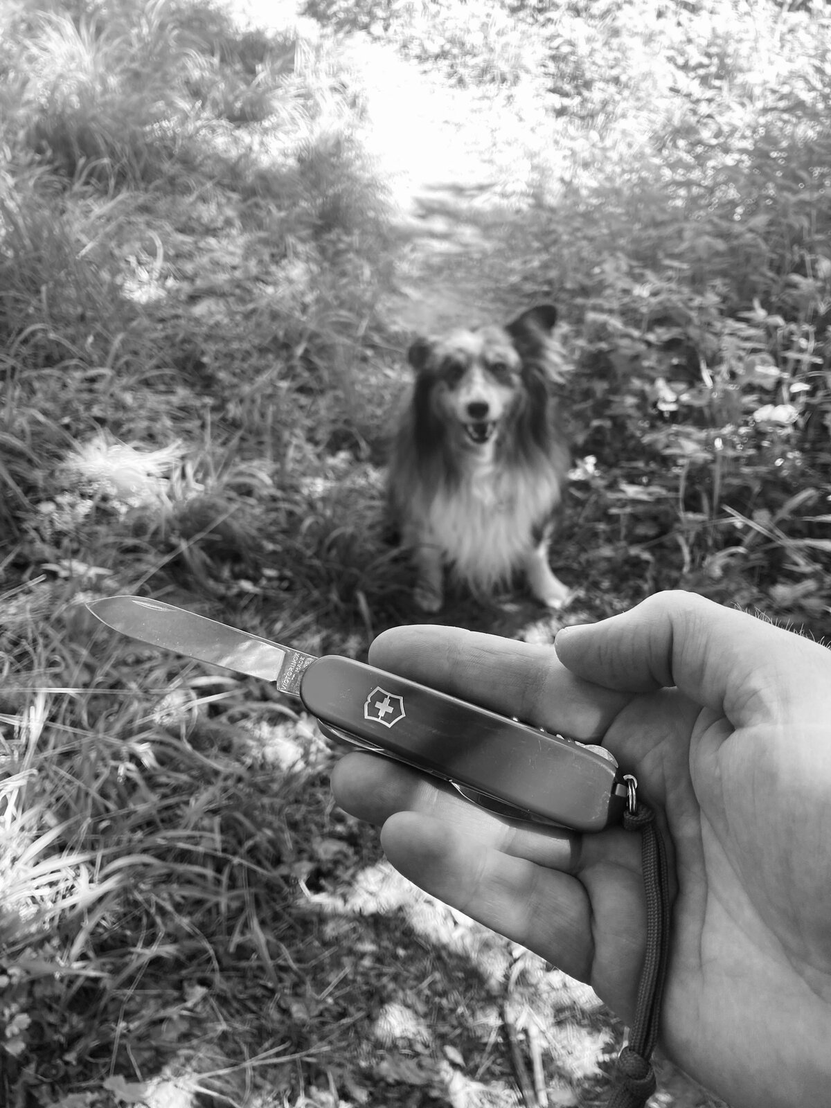 IMG_1832.jpeg