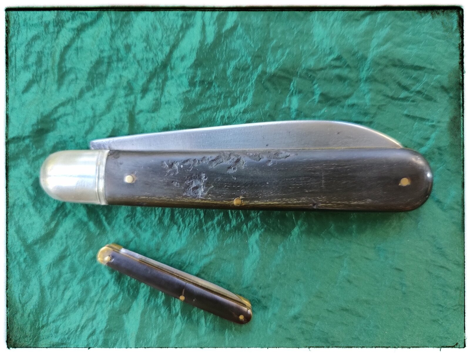 IMG_1934.jpeg IMG_1934.jpeg