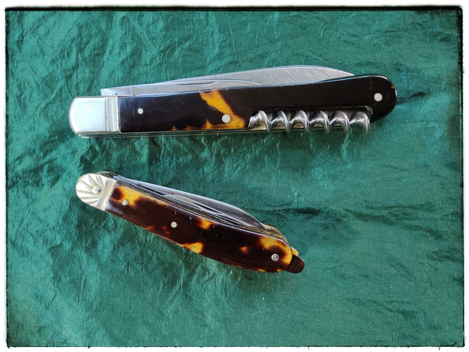 IMG_1935.jpeg IMG_1935.jpeg