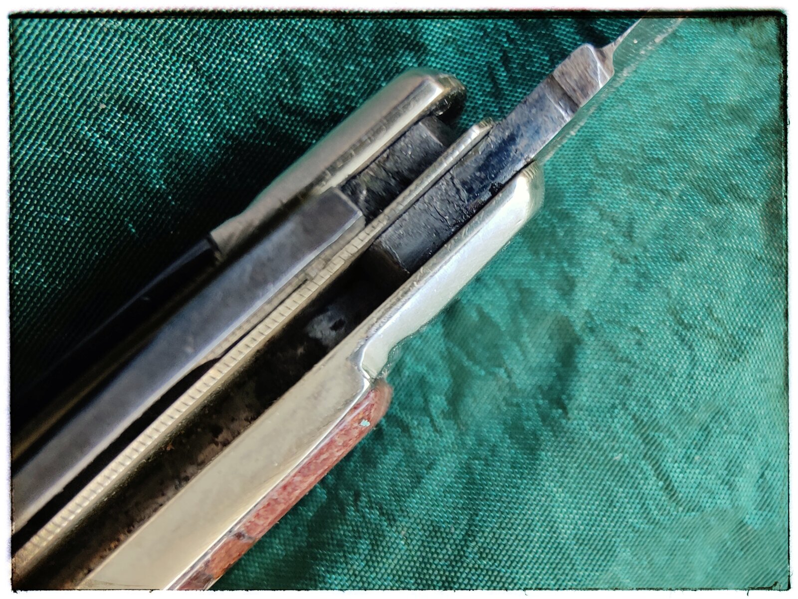 IMG_1938.jpeg IMG_1938.jpeg