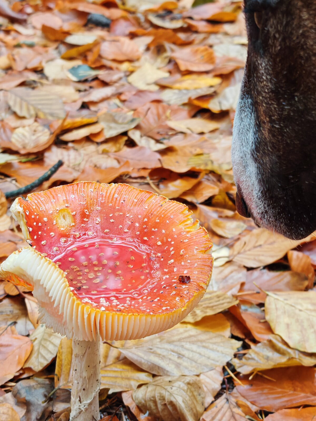 img_20251102_101223-jpg.324956