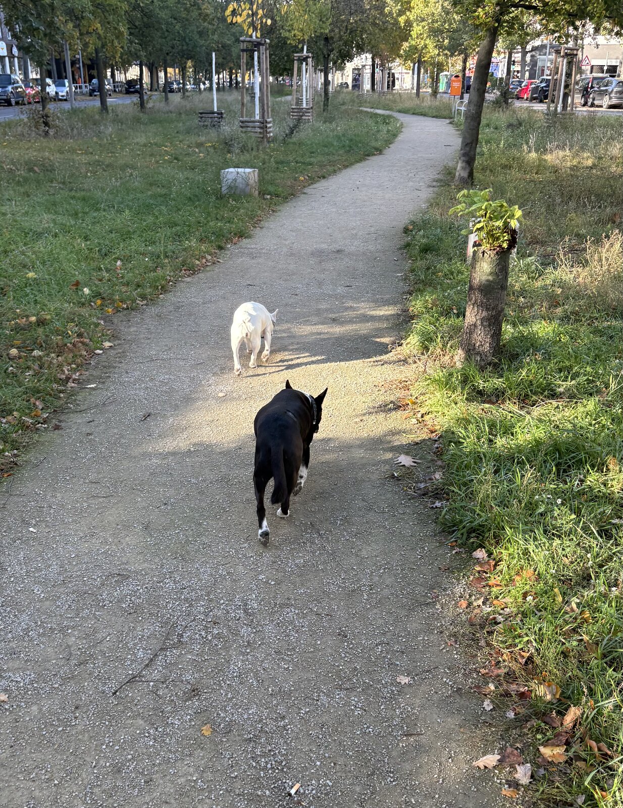 IMG_2392.jpeg